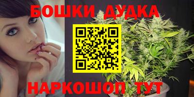 герыч Новодвинск